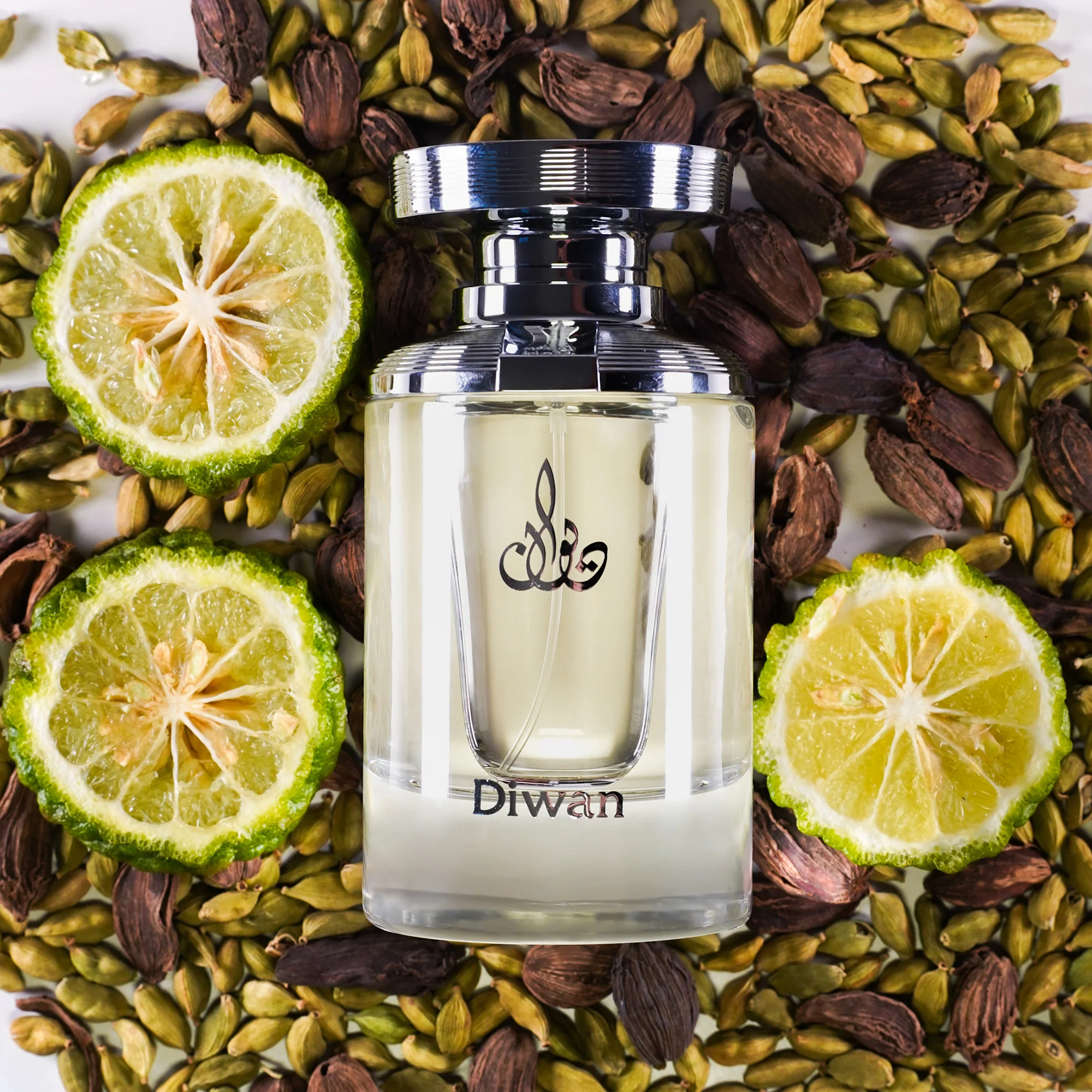 ARABIAN OUD DIWAN Woda perfumowana unisex 100 ml - Image 2